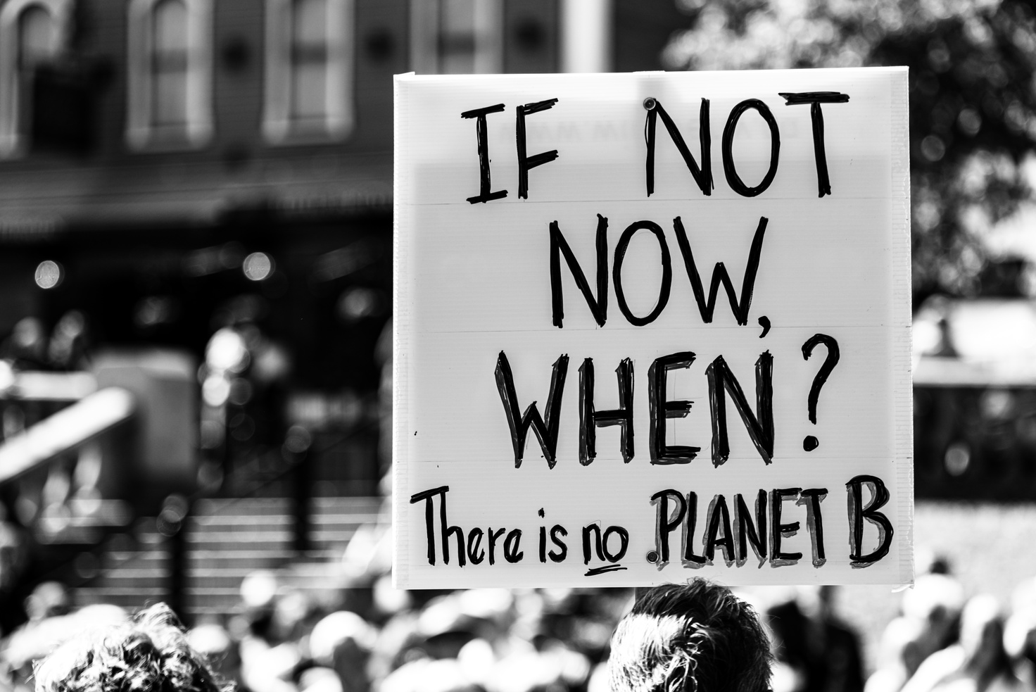 Climate Change Protest